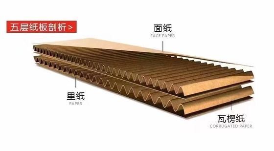 Upgrade Your Carton Box Production with Our Advanced Double Layers NC Cut Off Machine